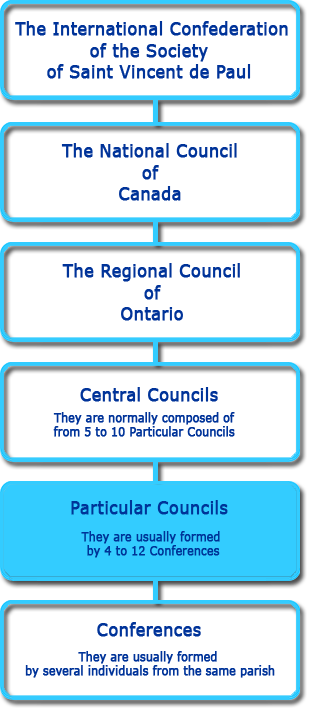 organizational chart