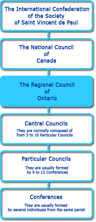 organizational chart